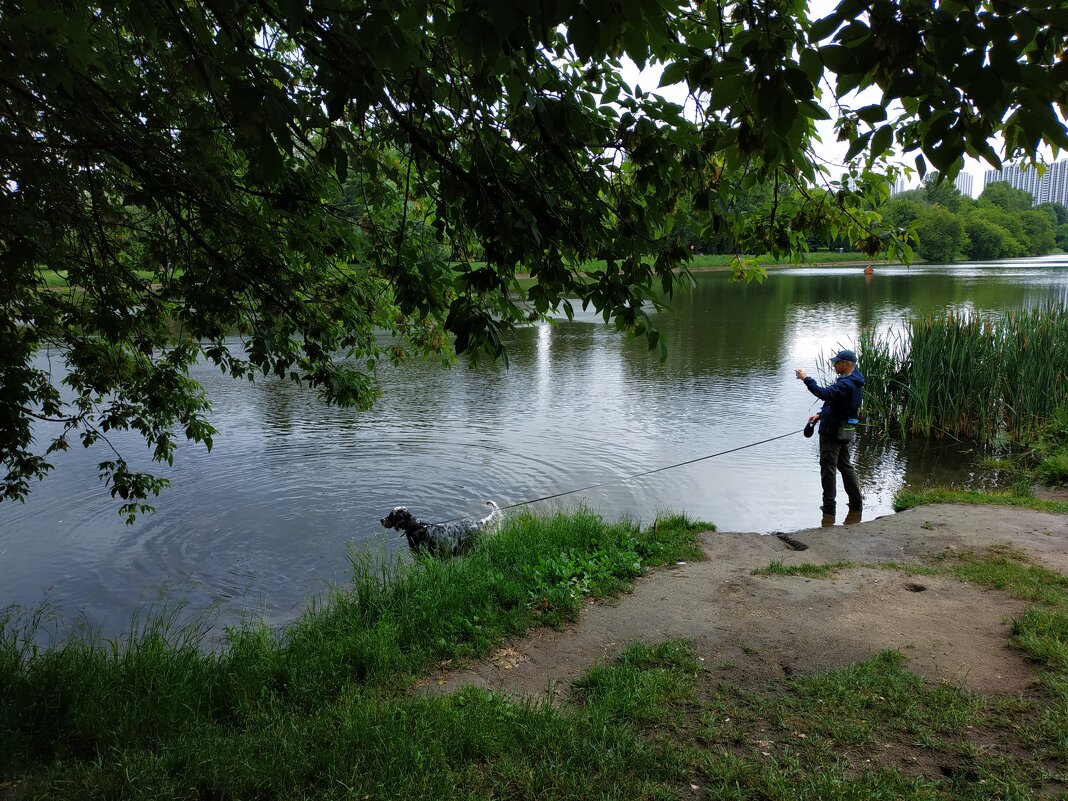 Сегодня непогода - Андрей Лукьянов