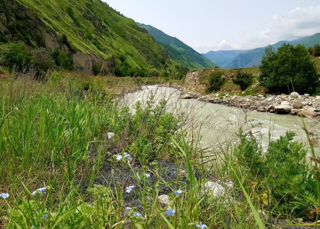 Баксанское ущелье. Река Баксан - Tata Wolf Баксанское ущелье. Река Баксан - Tata Wolf