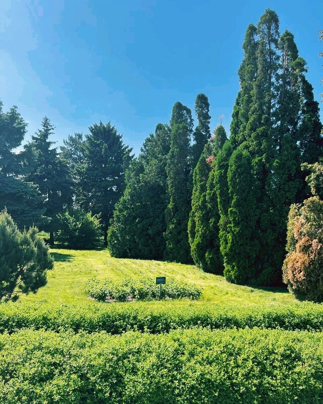 Парк Алатао - Георгиевич 