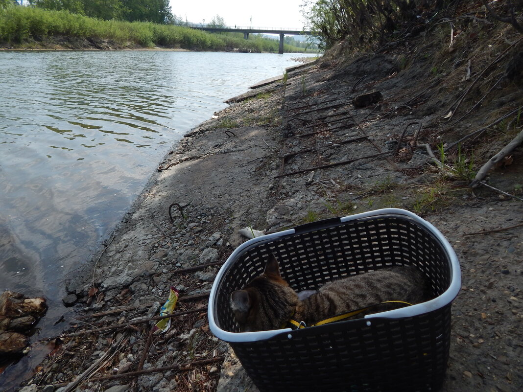 Набережная река Чита - Екатерина Панова Набережная река Чита - Екатерина Панова