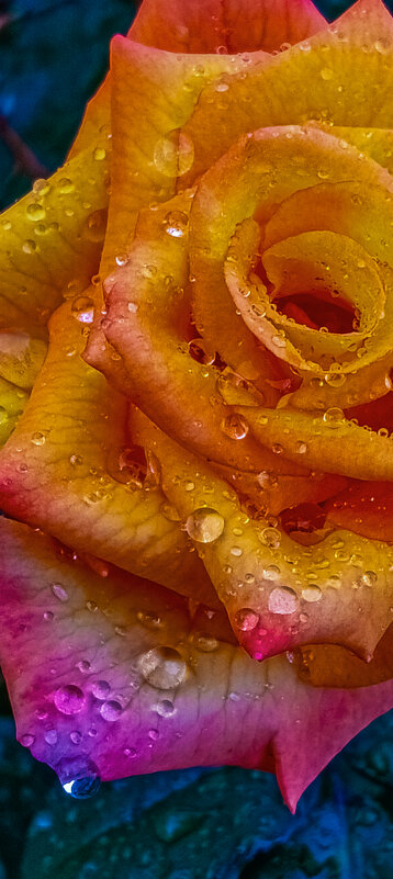 После грозы... - Леонид Абросимов