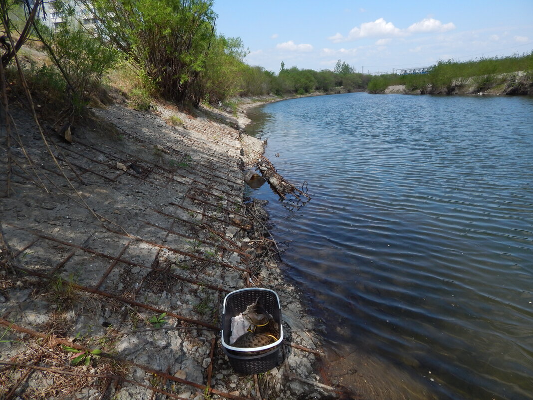 На набережной река Чита - Екатерина Панова На набережной река Чита - Екатерина Панова