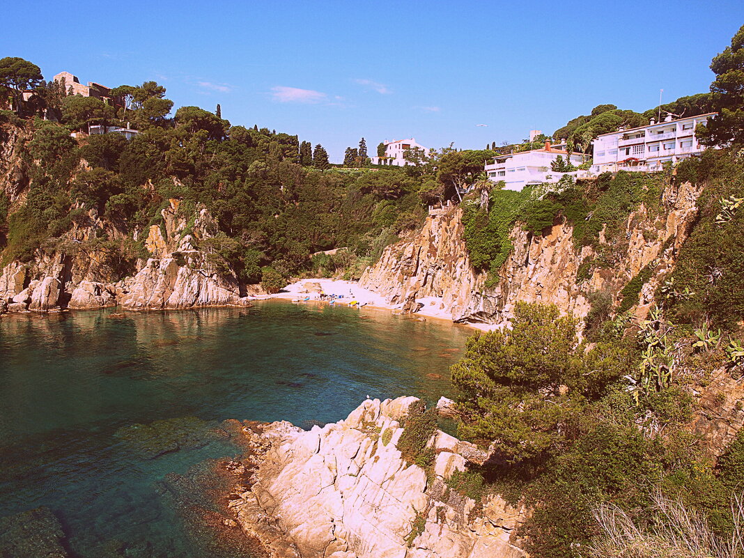 Барселона. - Владимир Драгунский