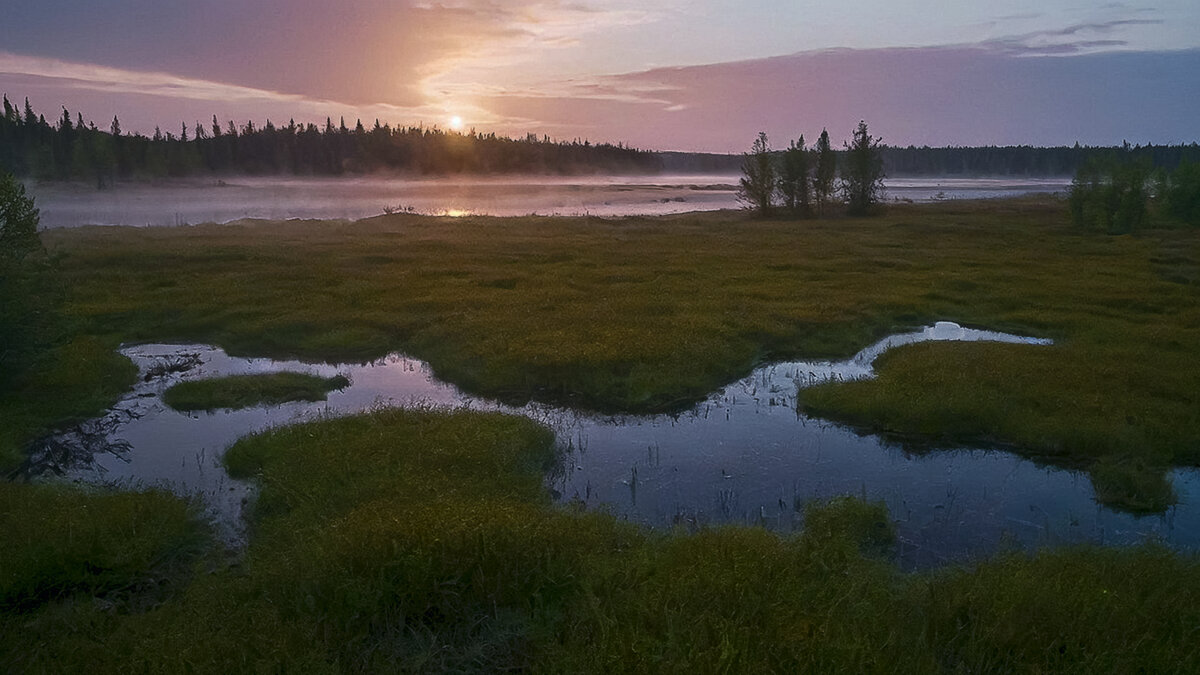 *** - Aleksey Afonin