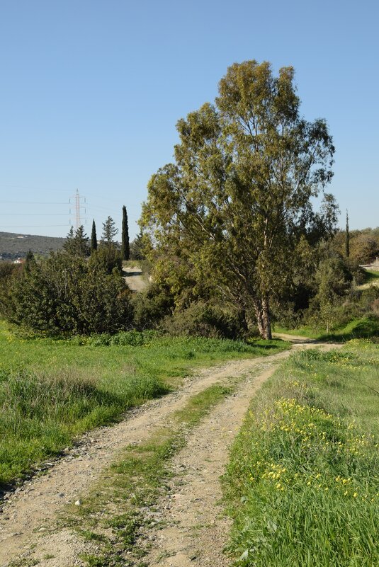 Пейзаж - Oleg4618 Шутченко