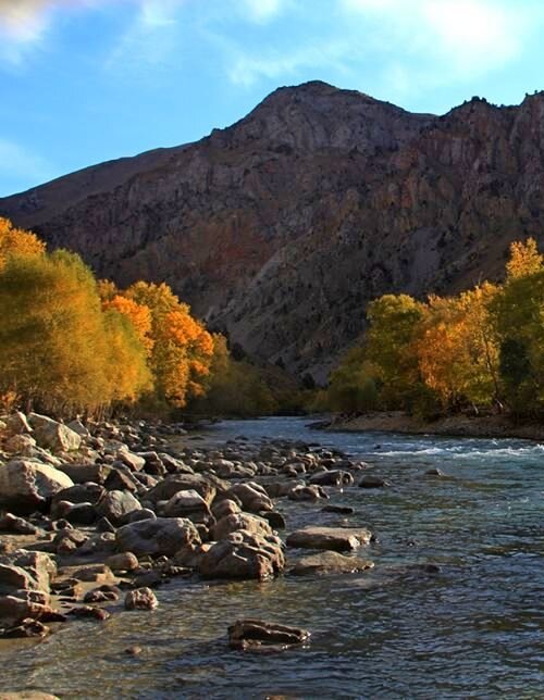 ПО ГОРАМ. - Виктор Осипчук