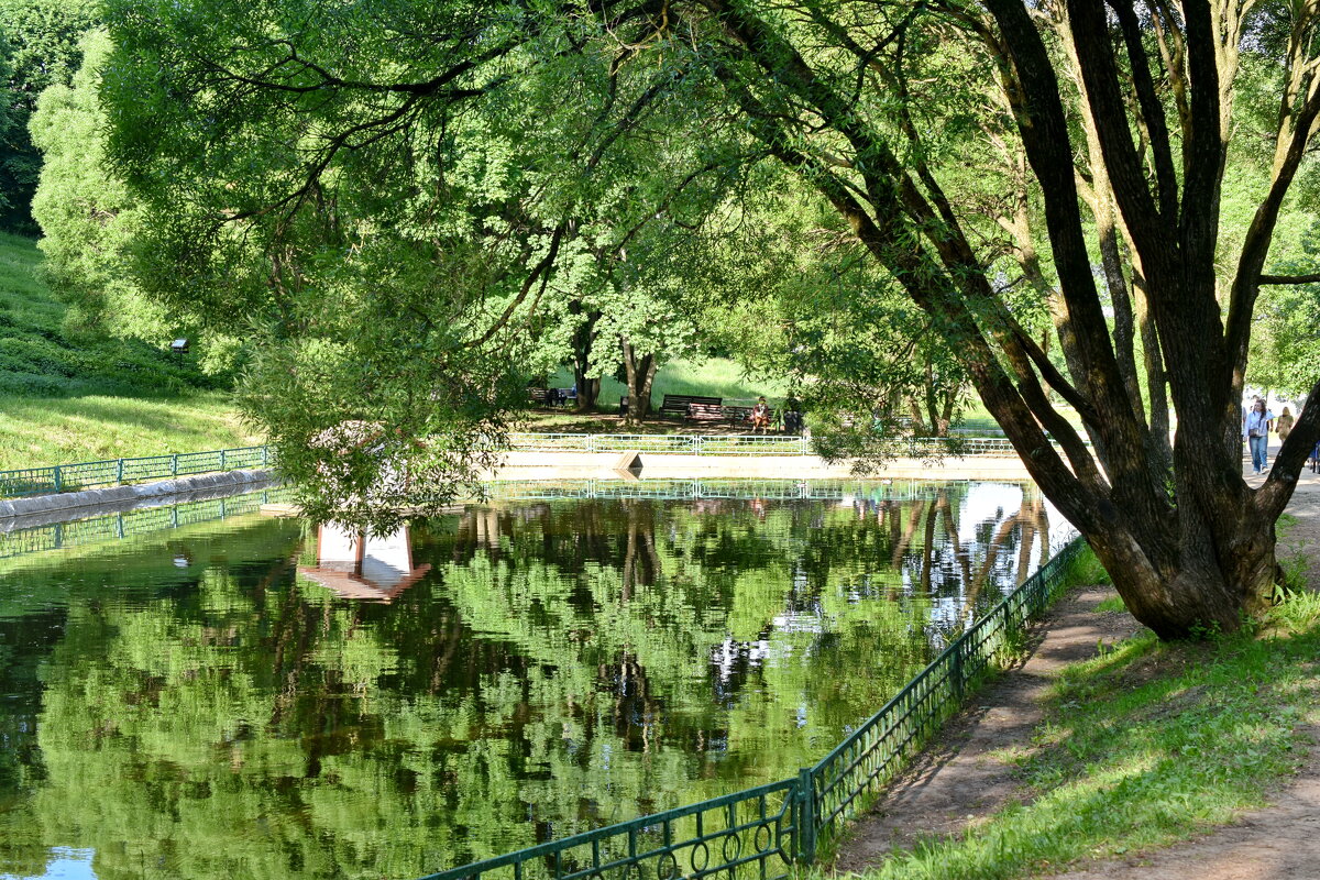 Коломенские пруды - Леонид Иванчук
