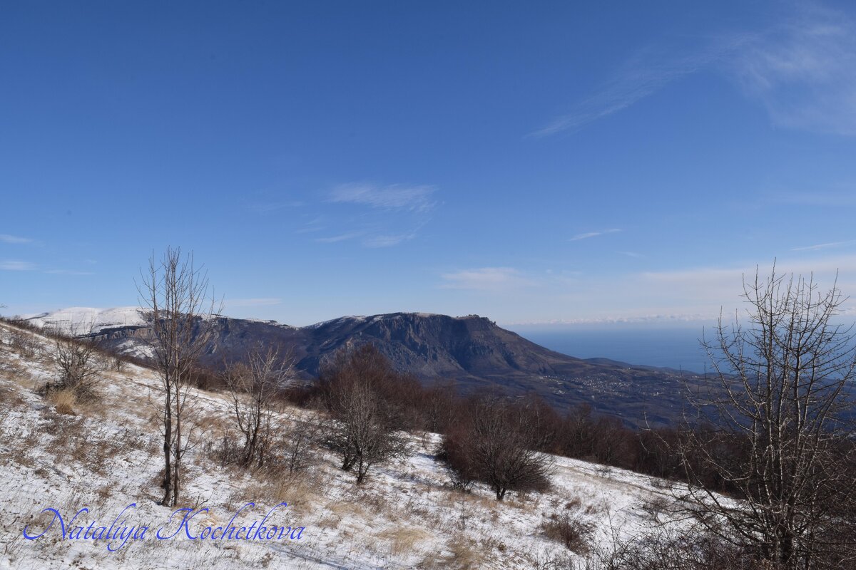 Природа Крыма - Amazing Cosmea