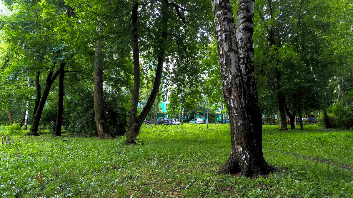 ***** - юрий поляков