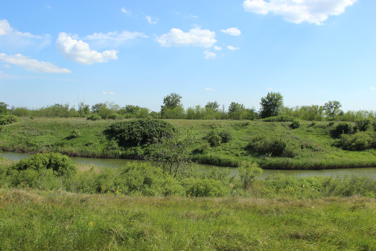 В степи. - Виктор 