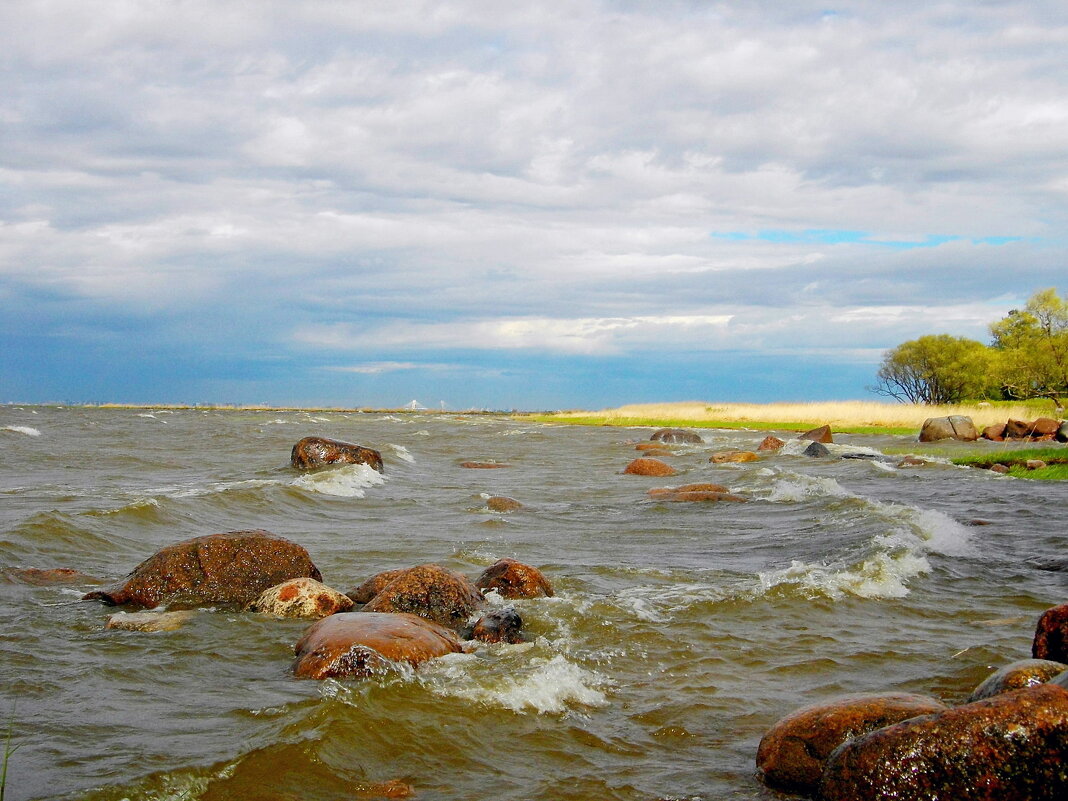 Морская стихия. - Лия ☼