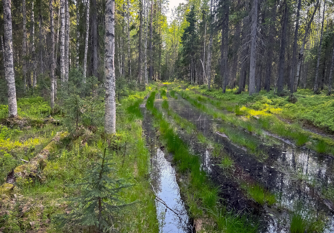 Пути дороги - Дмитрий Иванов
