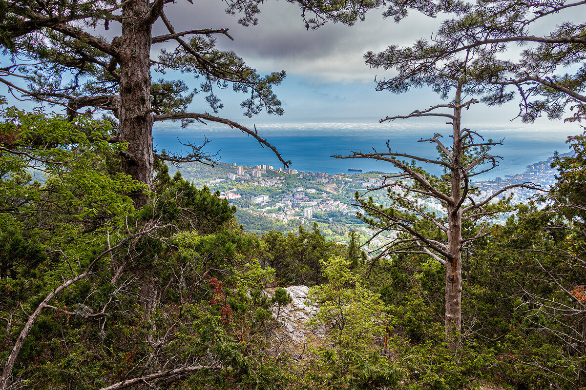 Побережье - Юрий Яловенко