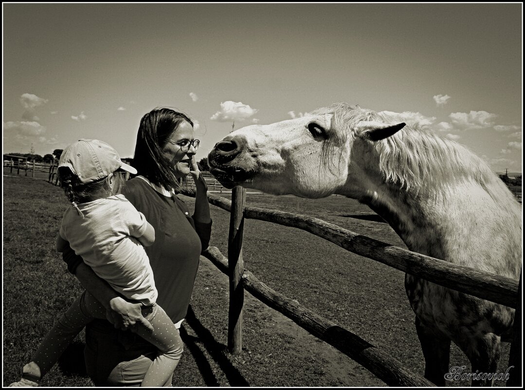 Horse - Denis Lipatov Horse - Denis Lipatov