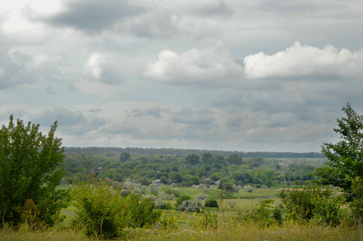 *** - Надежда Куркина 