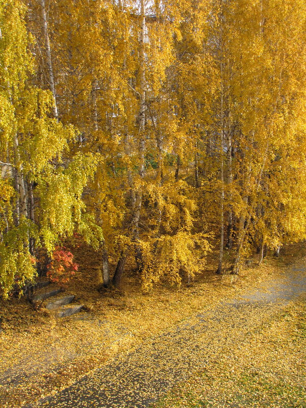 краски осени - Игорь 