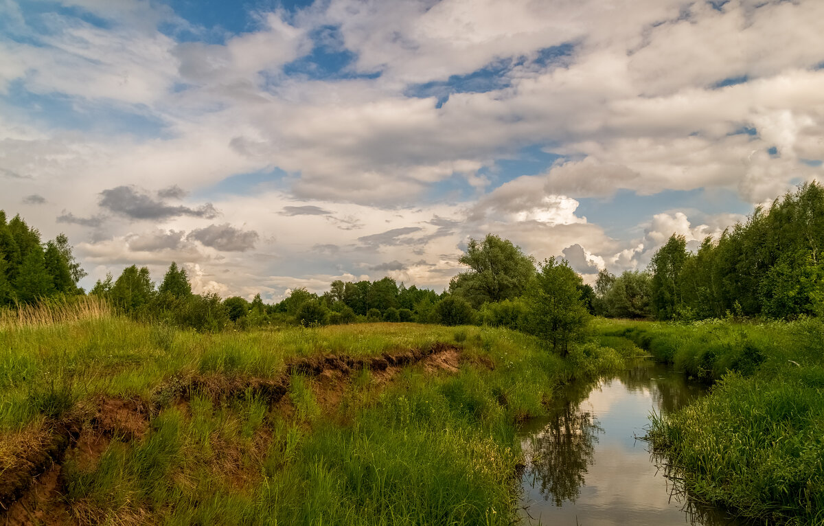 Родные берега 5 - Андрей Дворников
