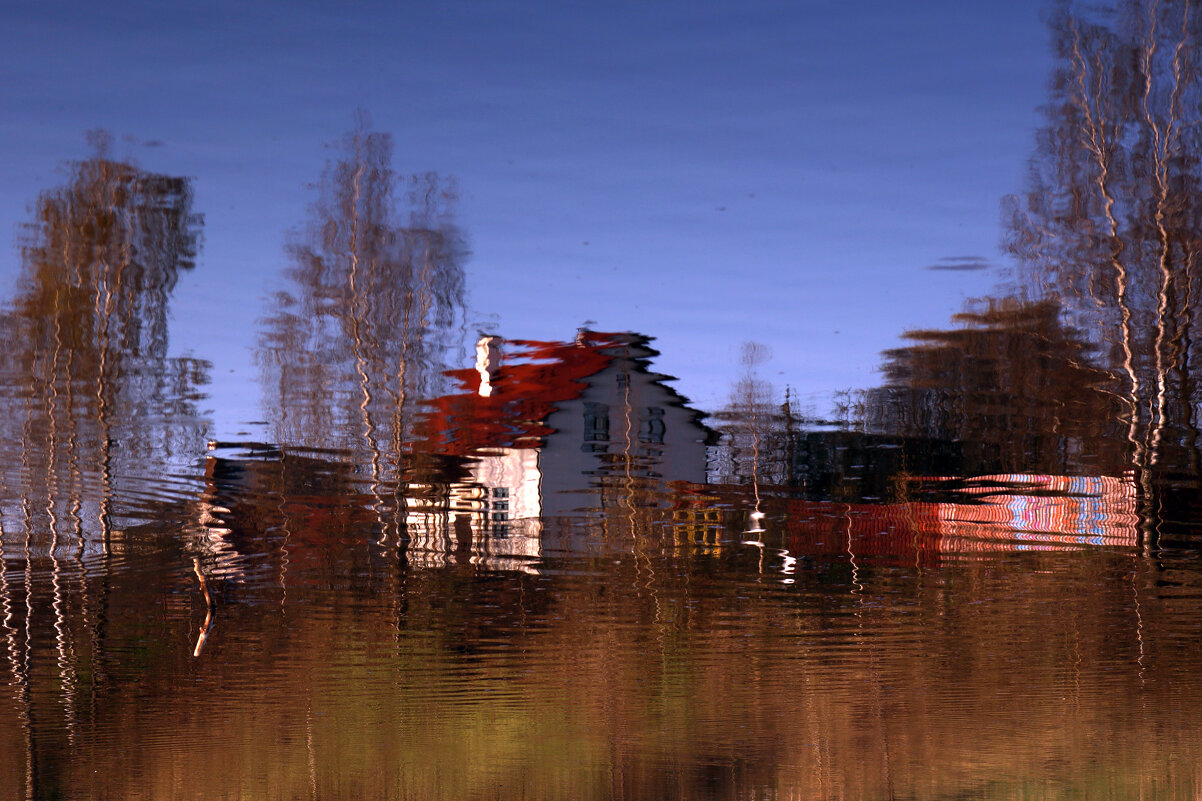 Отражение - Dar(k) Life