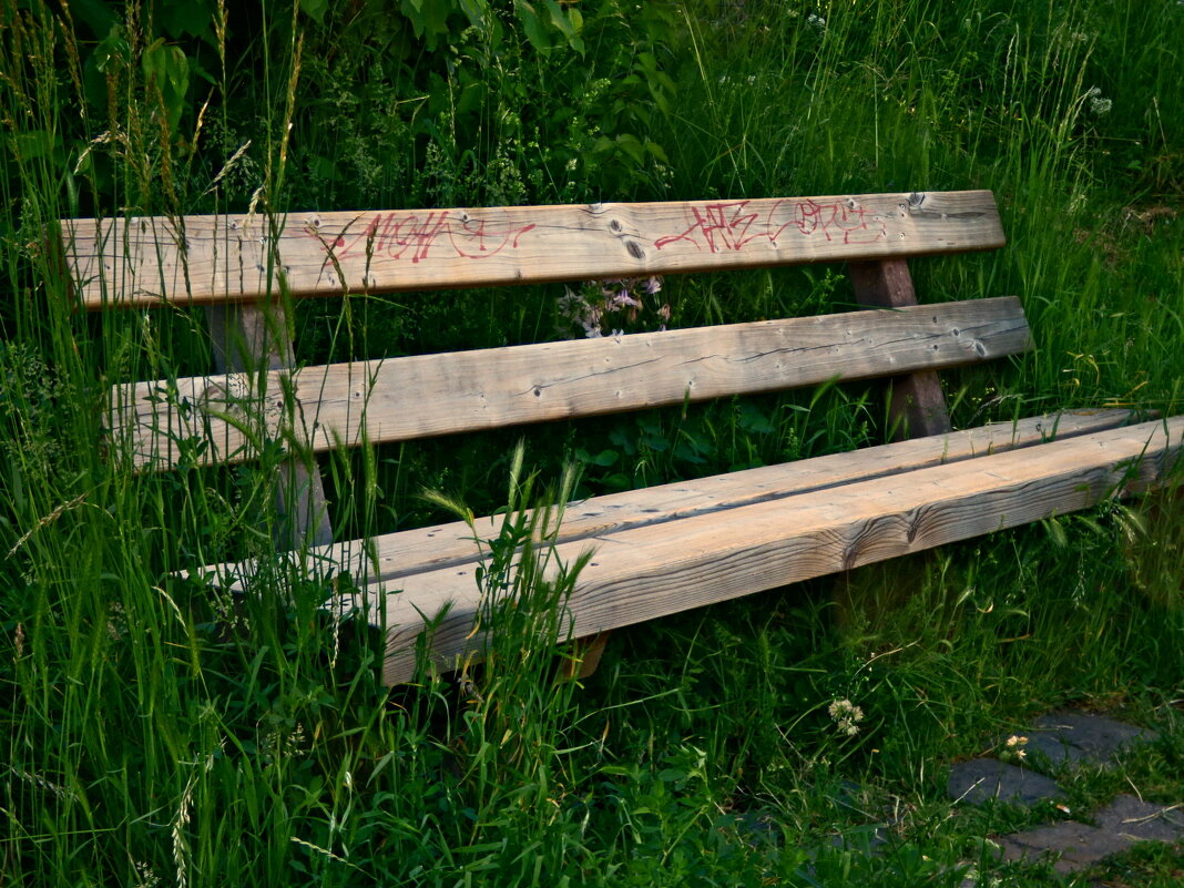 Летние этюды 34 - Алексей Кузнецов