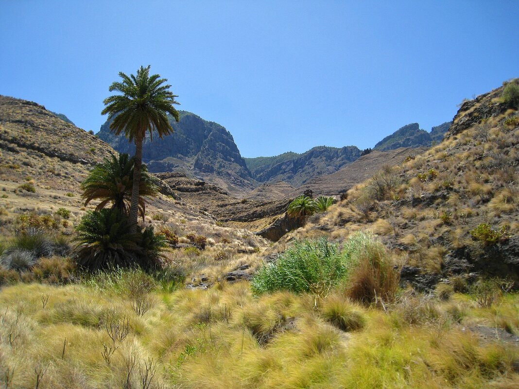 Кусочек острова Гран-Канария. - unix (Илья Утропов)