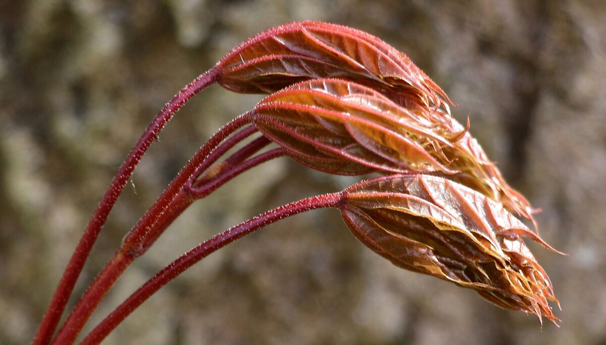 Начало - Наталья Герасимова