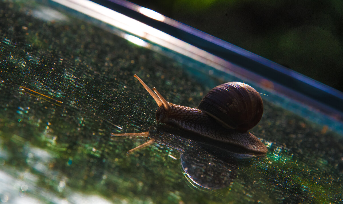 Космическое путешествие. Кольца Сатурна. - Владимир Безбородов