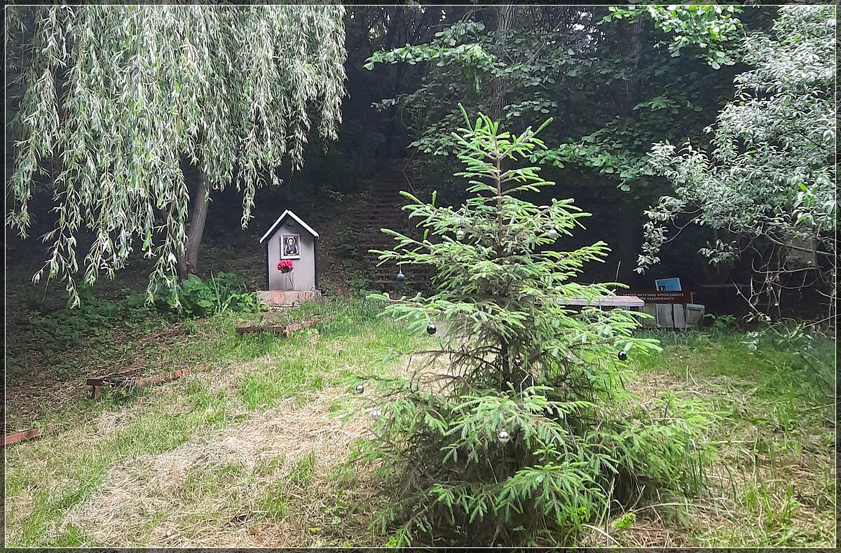 В лесу родилась ёлочка - Сеня Белгородский
