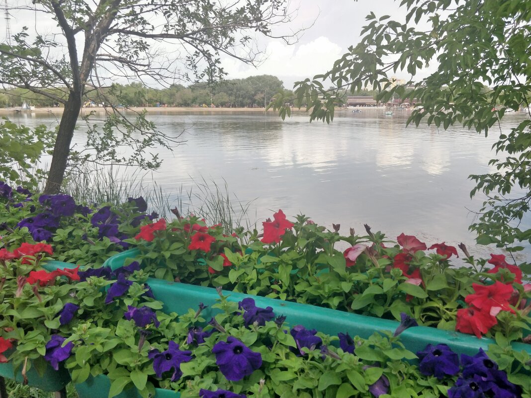 Город в цветах - Андрей Хлопонин Город в цветах - Андрей Хлопонин