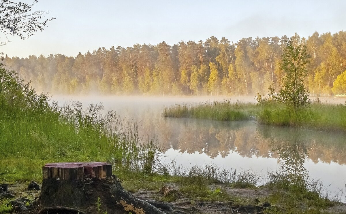 Утро на озере - Валерий Иванович