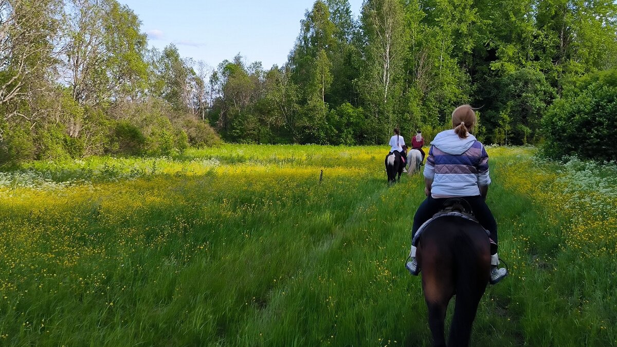 По цветущим полям. - Ольга 