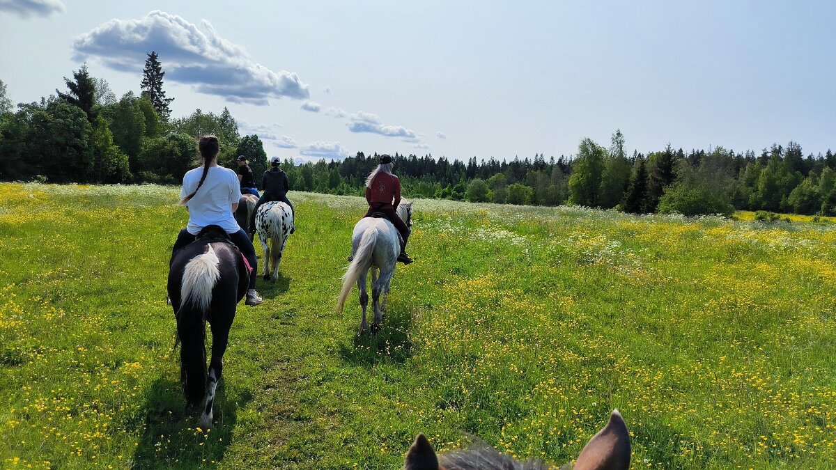 Летняя сказка. - Ольга 