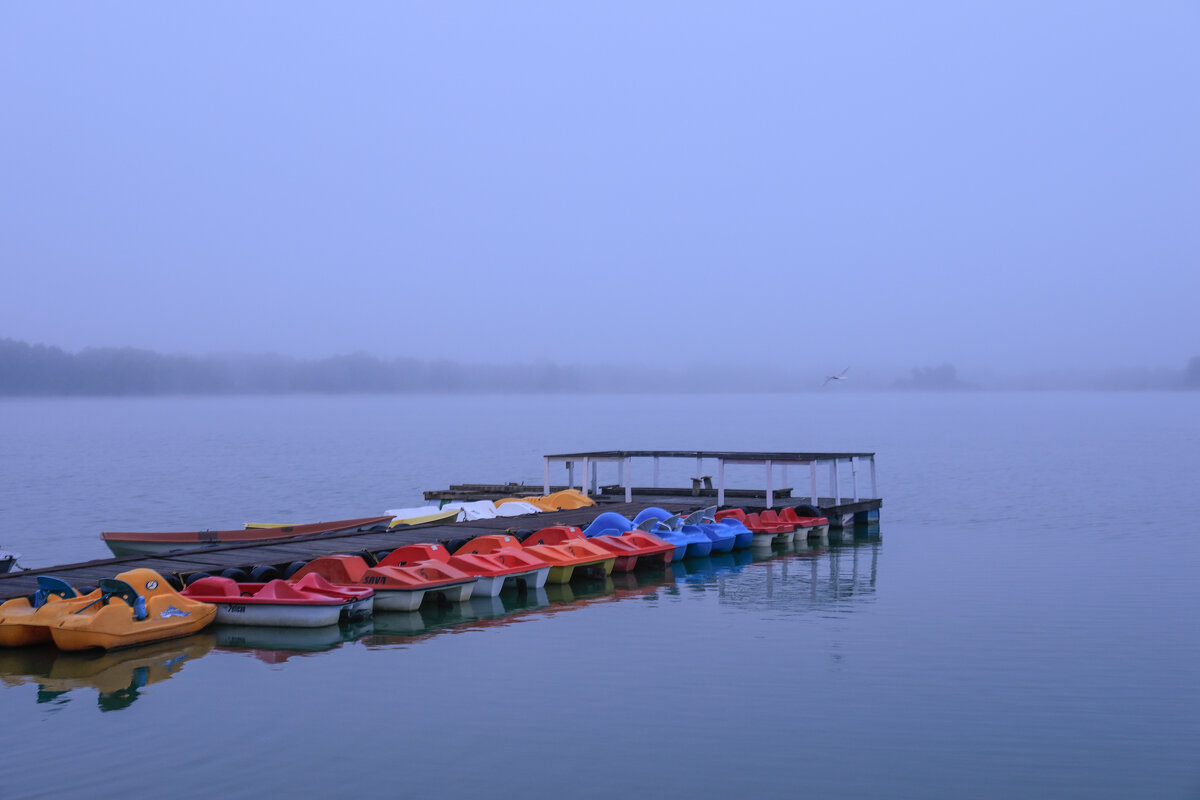 ......... - Вадим Виловатый