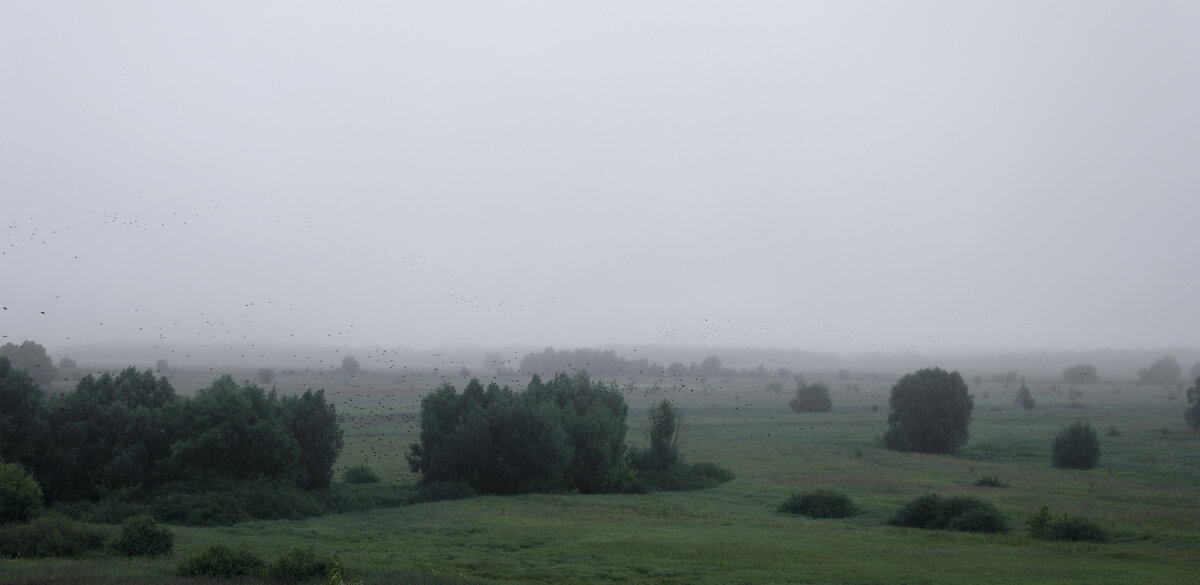 ...... - Вадим Виловатый