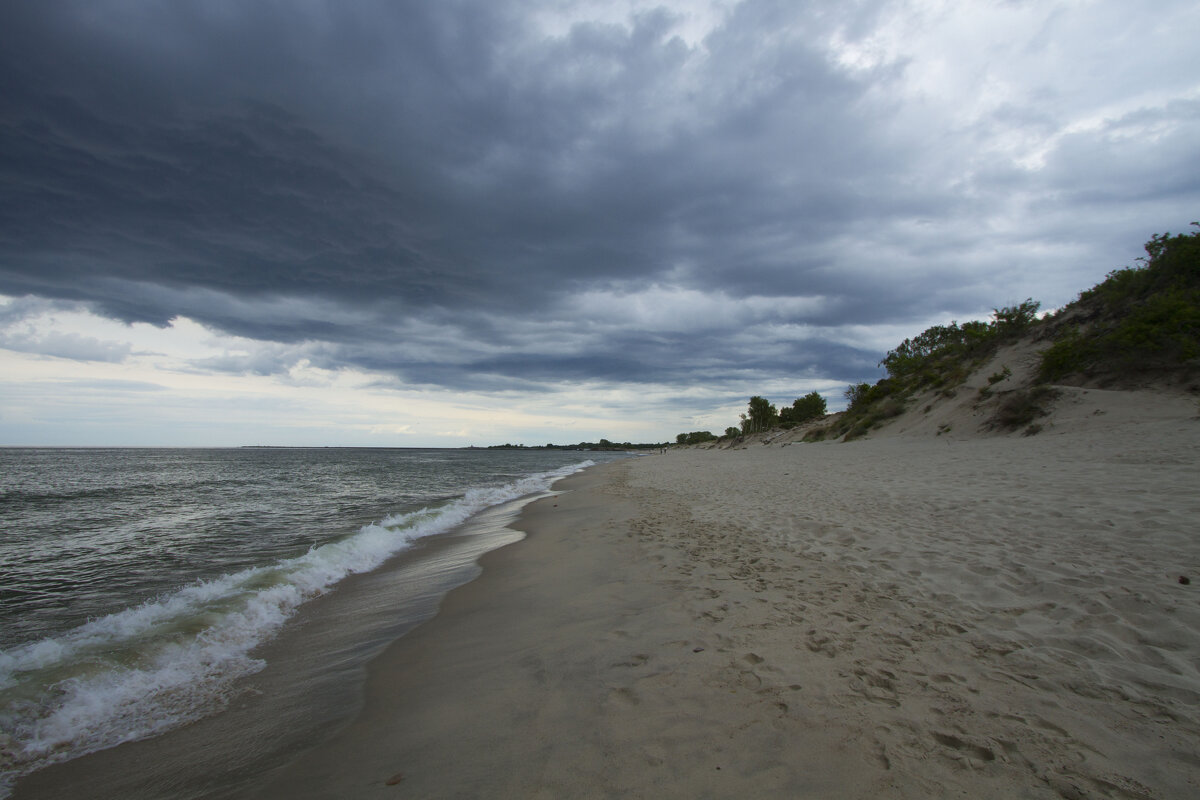 Балтийская коса - Олег Денисов