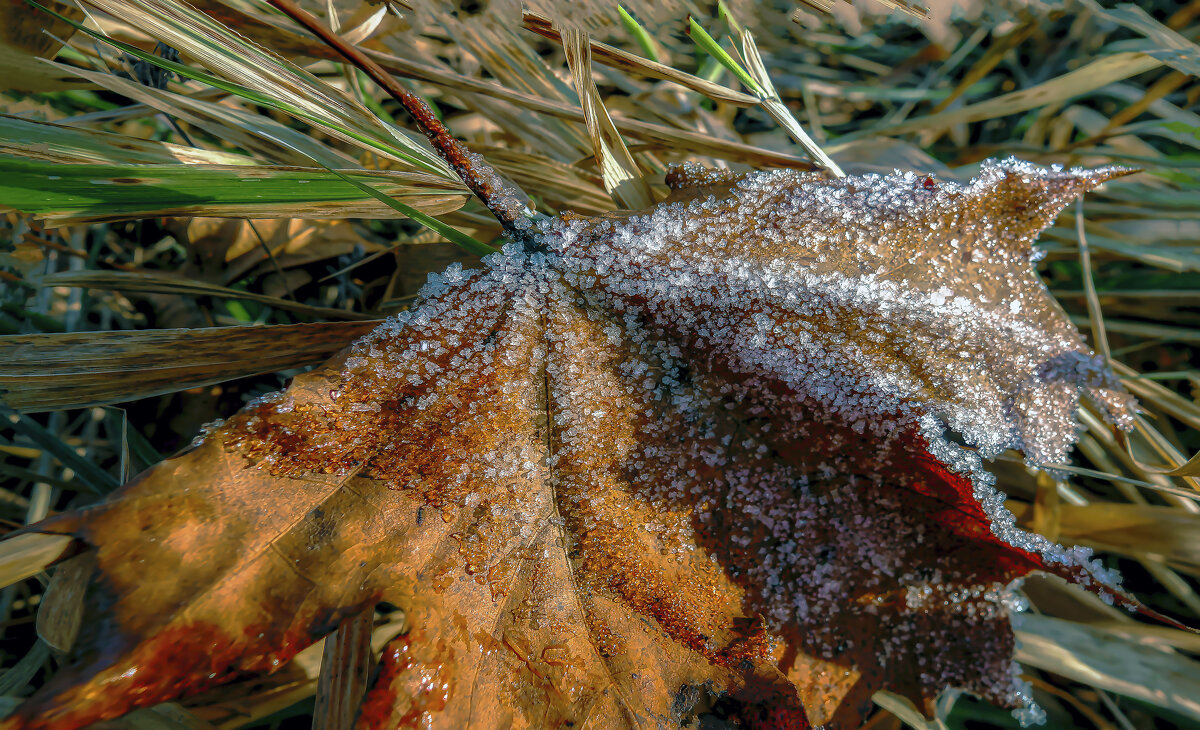 Изморозь. - Владимир Владимир