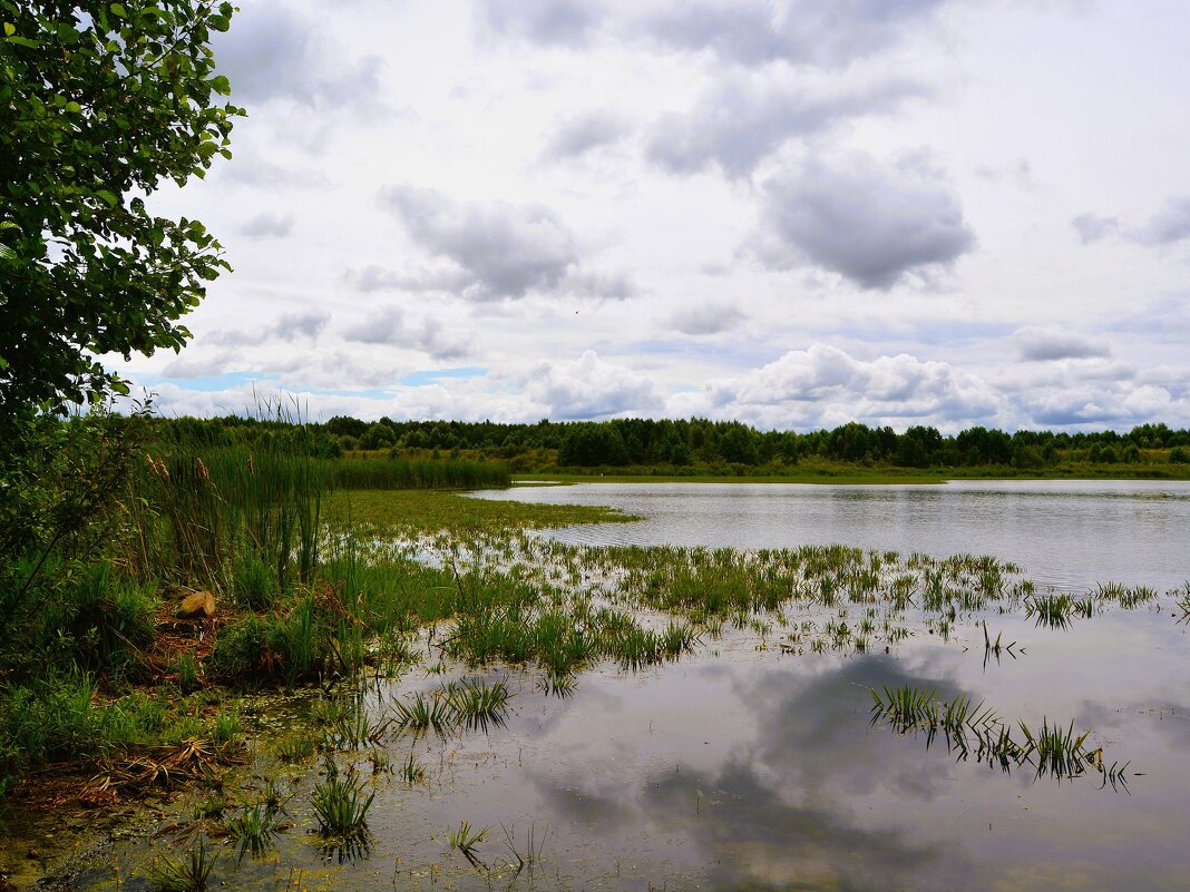 Ядрин. На северном берегу озера Сергач пасмурным летним днём. - Пётр Чернега Ядрин. На северном берегу озера Сергач пасмурным летним днём. - Пётр Чернега