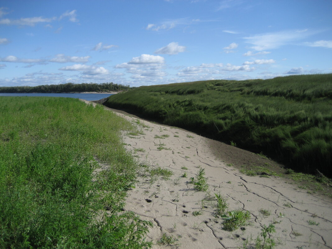 На острове - Anna Ivanova