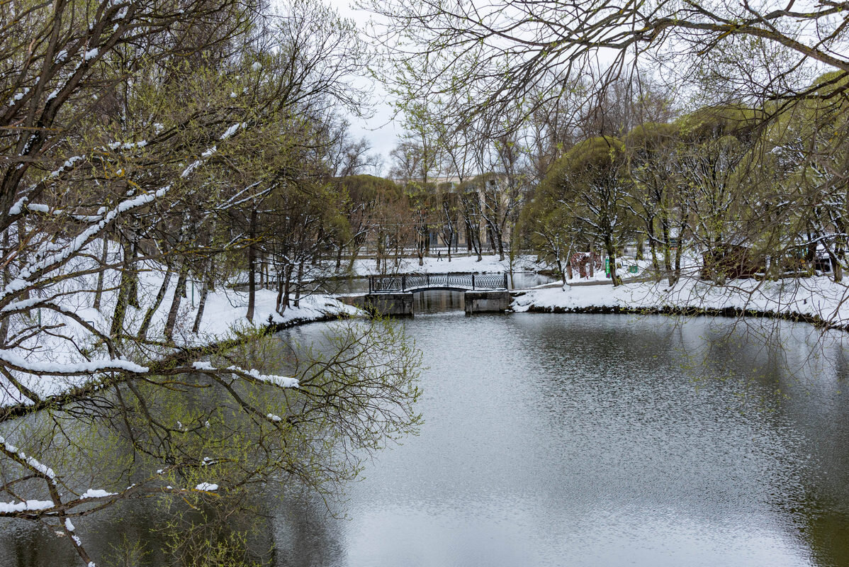 *** - Дмитрий Лупандин