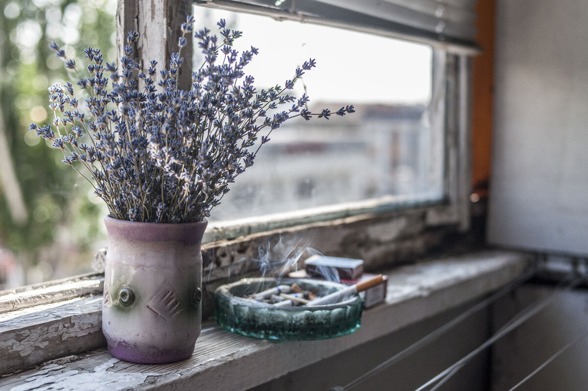 Лавандушка & сигаретушка - Коля Лукашов Лавандушка & сигаретушка - Коля Лукашов