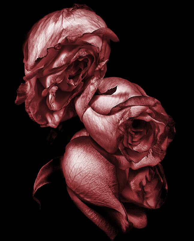 *** - Геннадий Чеботарев