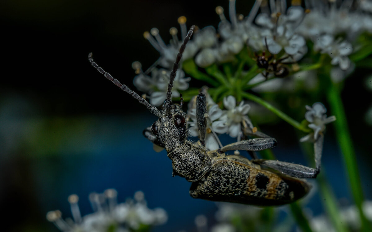 *** - Михаил. М.