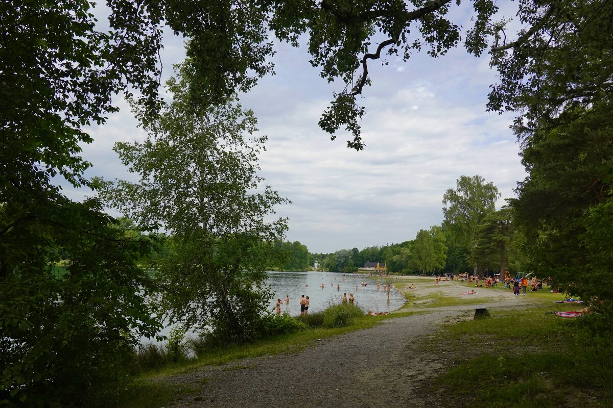 Лето, ах лето!...... - Галина 