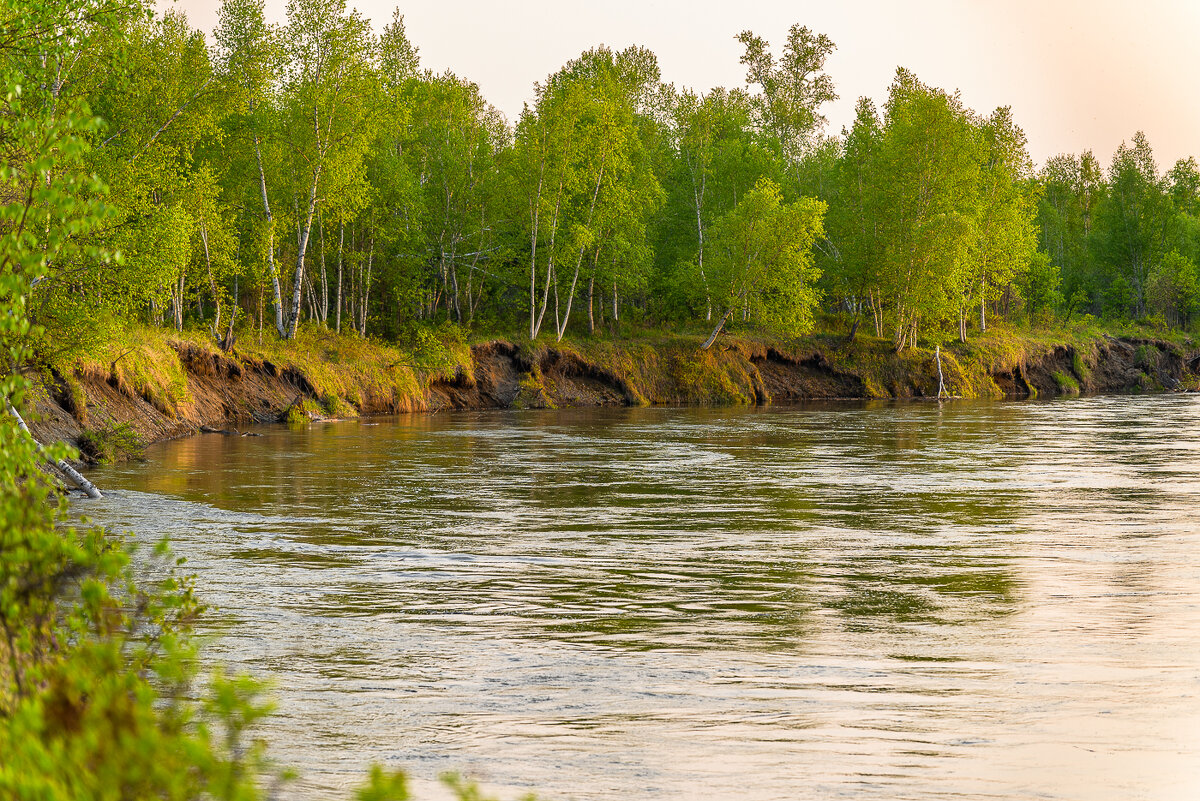 ... - Жора Житников