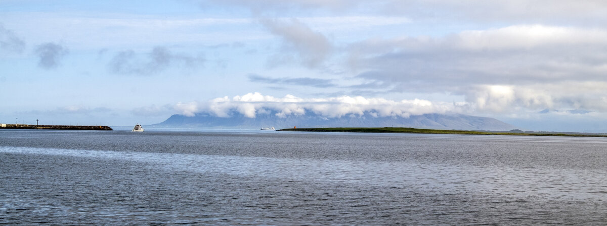 ** - Александр Липовецкий