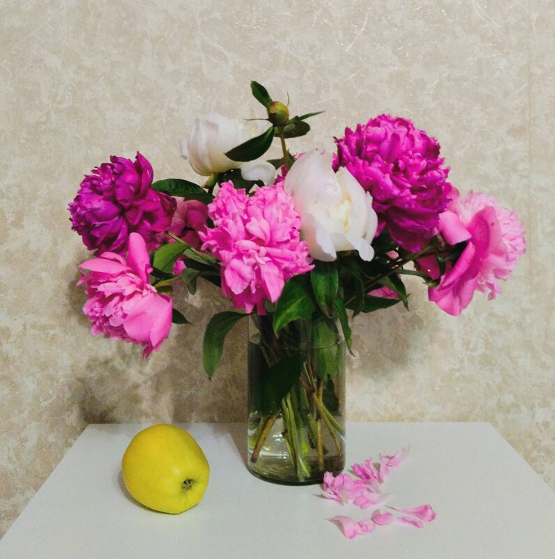 Натюрморт - Галина Бобкина