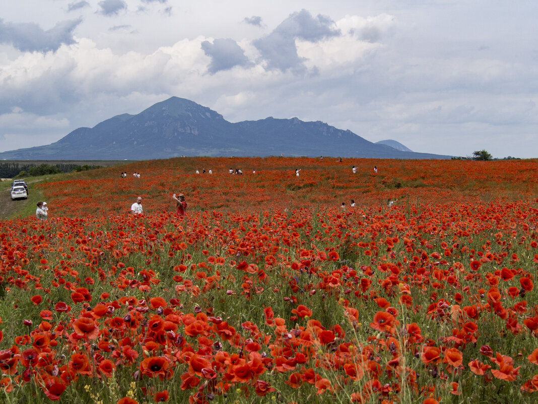 Лето - Алексей Фокин Лето - Алексей Фокин