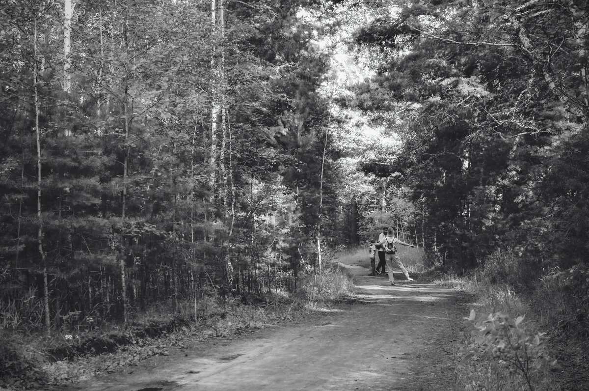 Какой чудесный день (чб) - Сергей Царёв