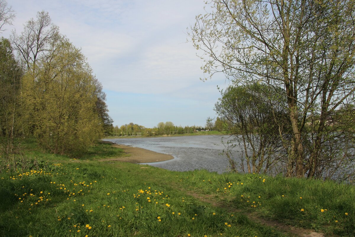 Стрельна. Орловский пруд - Наталья Герасимова