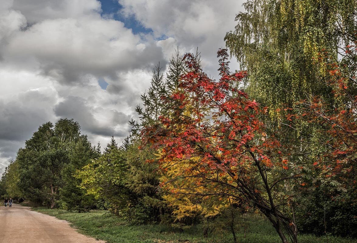 Панорама - SanSan 