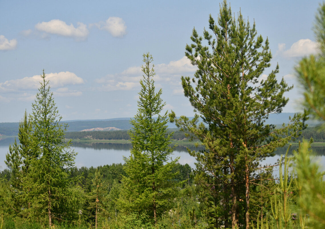 В гоорах над Ангарой - Сергей Шаврин